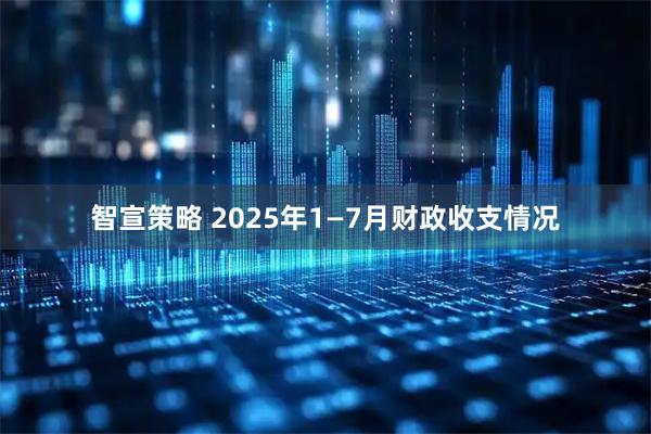 智宣策略 2025年1—7月财政收支情况