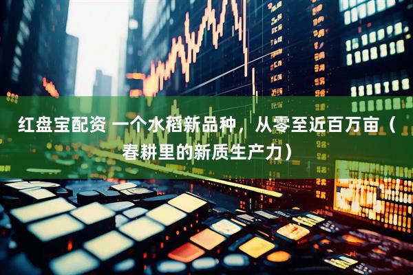 红盘宝配资 一个水稻新品种,从零至近百万亩(春耕里的新质生产力)