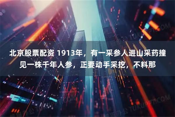 北京股票配资 1913年，有一采参人进山采药撞见一株千年人参，正要动手采挖，不料那